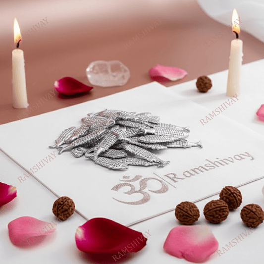 Lead Fish (Ranga Ki Machli) - Traditional Metal Fish for Healing & Spiritual Use – Ramshivay - Ramshivay