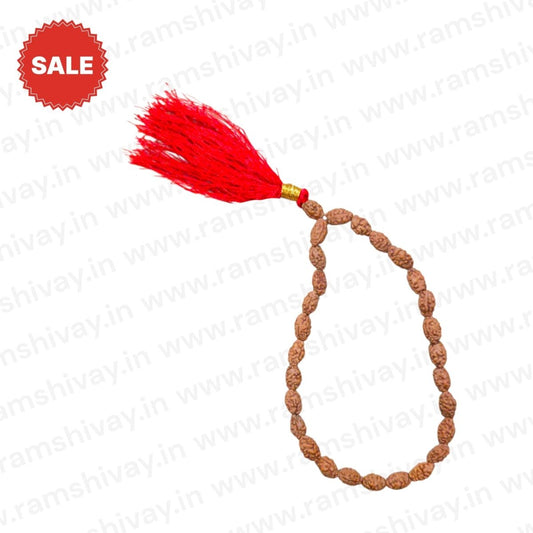 Natural 2 Mukhi Rudraksha Mala 27+1 Beads with Lab Certificate | Unity & Emotional Balance – Ramshivay - Ramshivay