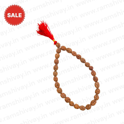 Natural 4 Mukhi Rudraksha Mala 27+1 Beads with Lab Certificate – Ramshivay