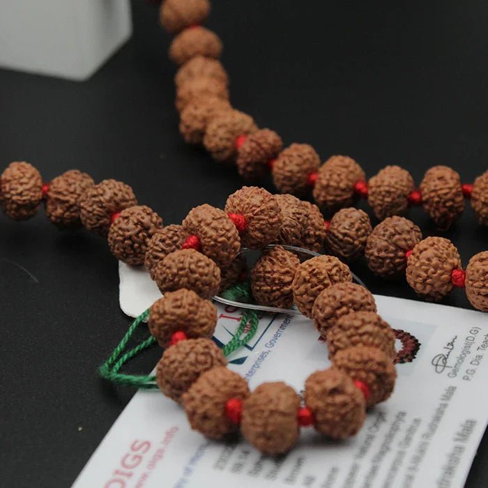 Natural 6 Mukhi Rudraksha Mala 108+1 Beads with Lab Certificate | 6 Faces Rudraksha Mala for Daily Jaap & Wearing – Ramshivay - Ramshivay