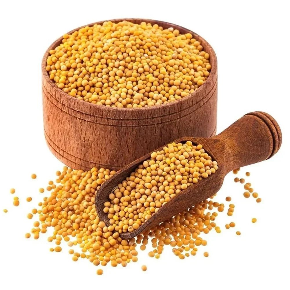 Organic Yellow Mustard Seeds with Premium Ayurvedic Purity | For Remedies, Cooking & Wellness – Ramshivay - Ramshivay