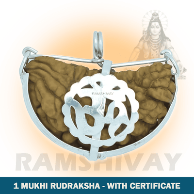 Original 1 Mukhi Rudraksha with Lab Certificate for Spiritual Growth – Ramshivay