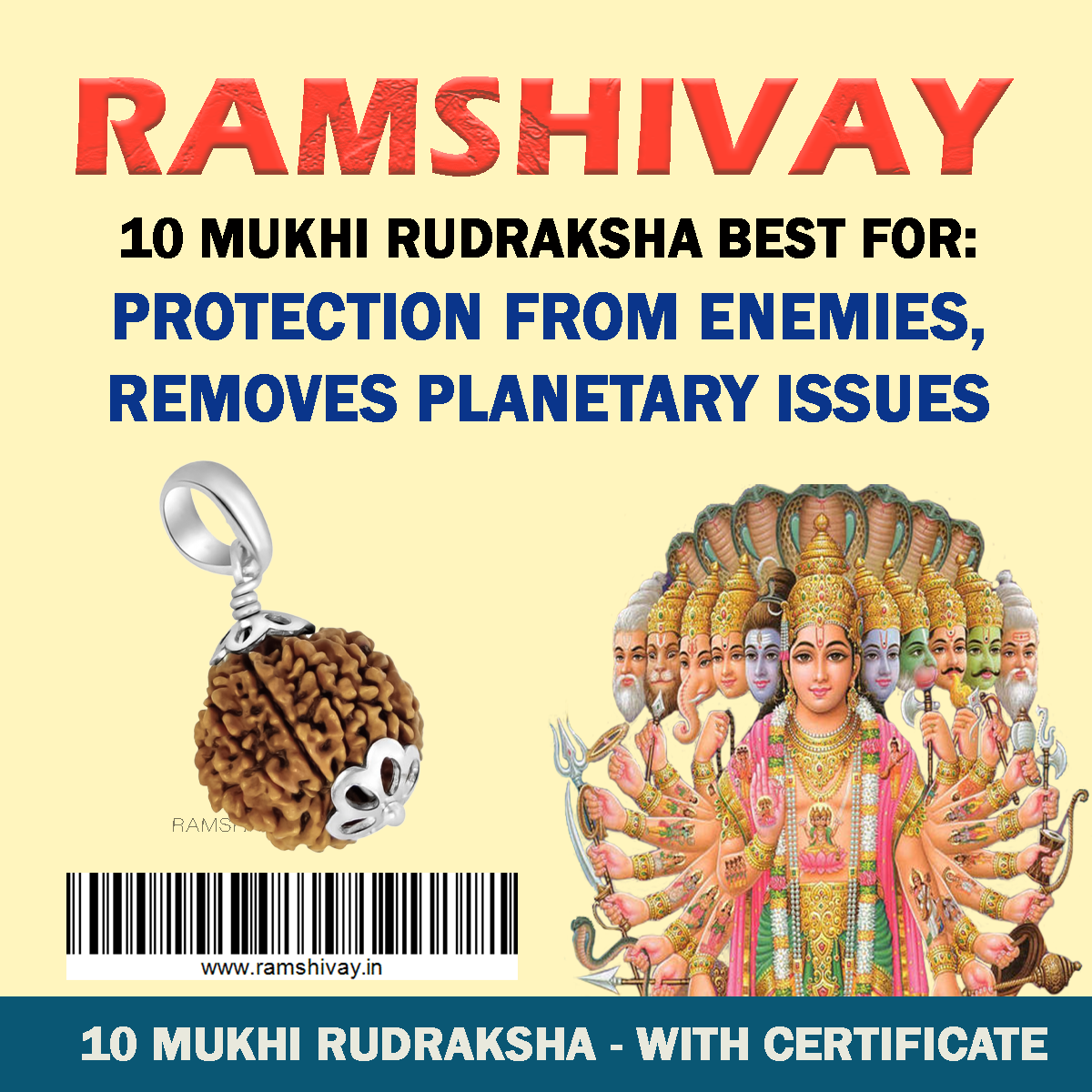 Original 10 Mukhi Rudraksha with Lab Certificate for Protection & Peace – Ramshivay - Ramshivay