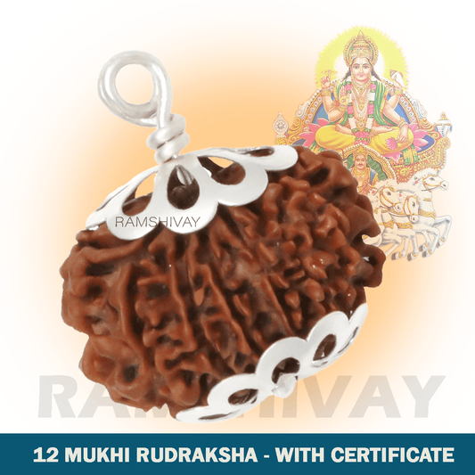 Original 12 Mukhi Rudraksha with Lab Certificate for Confidence & Leadership – Ramshivay - Ramshivay