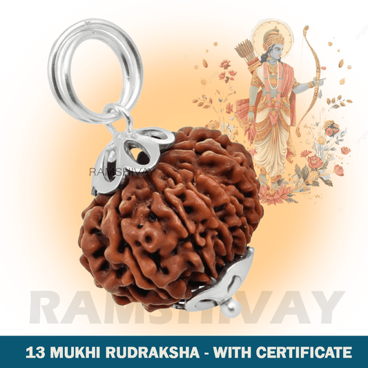 Original 13 Mukhi Rudraksha with Lab Certificate for Attraction & Success – Ramshivay - Ramshivay