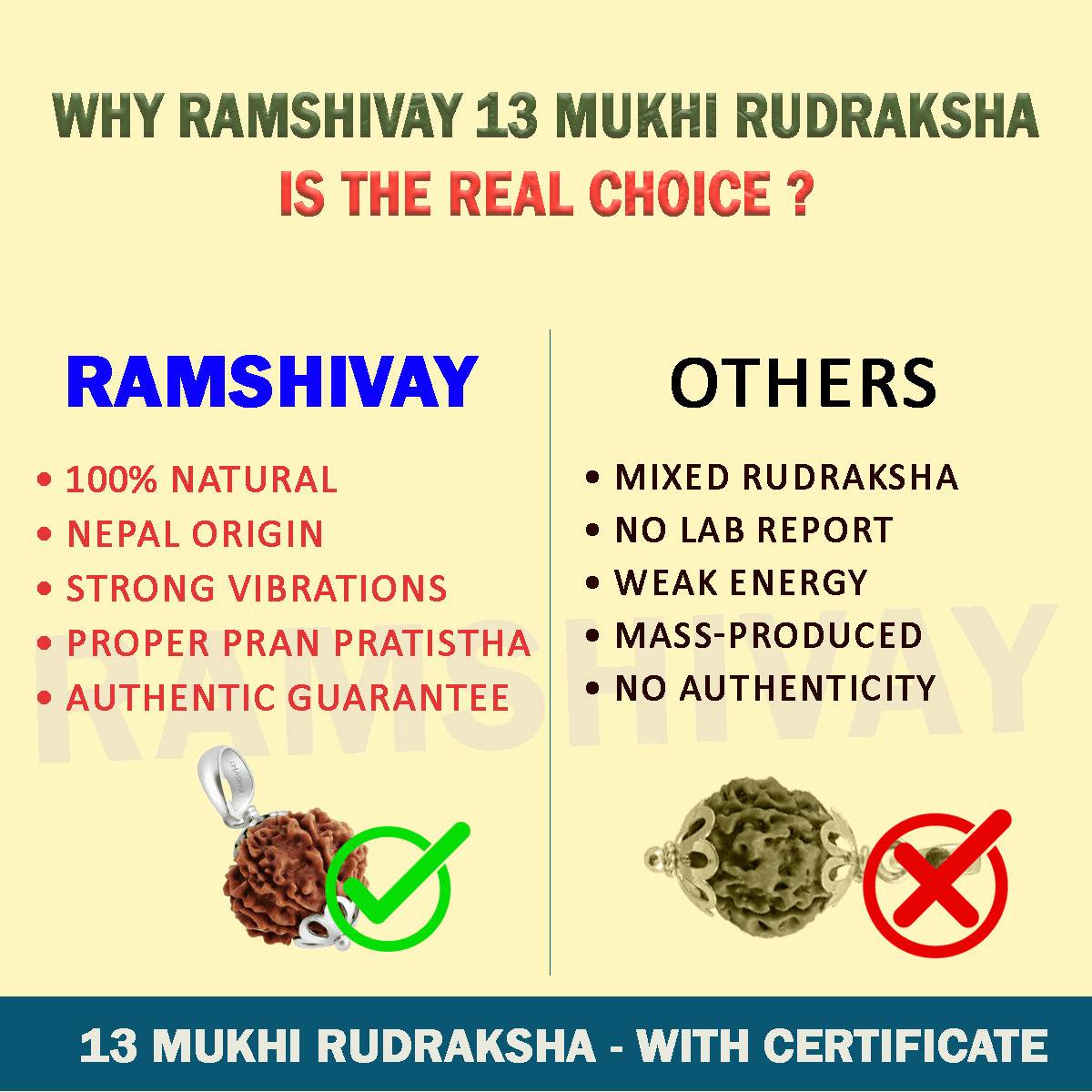 Original 13 Mukhi Rudraksha with Lab Certificate for Attraction & Success – Ramshivay - Ramshivay