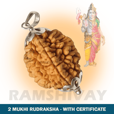 Original 2 Mukhi Rudraksha with Lab Certificate for Relationship Harmony – Ramshivay