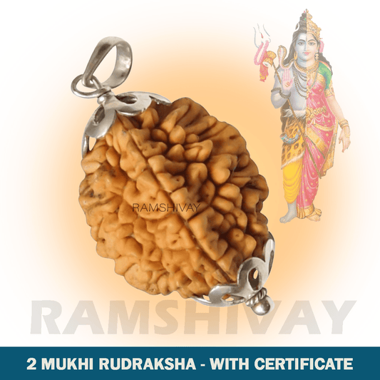 Original 2 Mukhi Rudraksha with Lab Certificate for Relationship Harmony – Ramshivay - Ramshivay