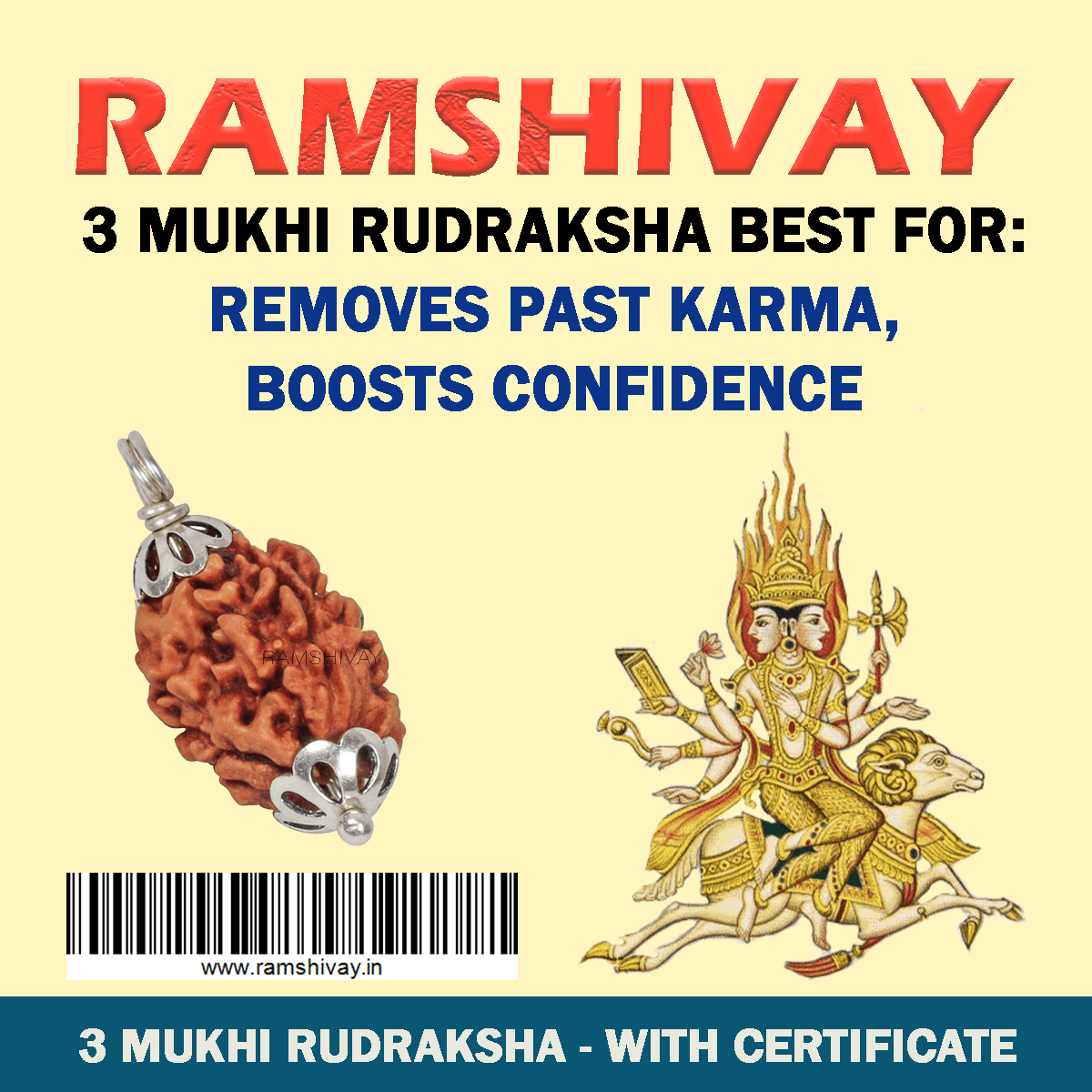 Original 3 Mukhi Rudraksha with Lab Certificate for Stress Relief & Healing – Ramshivay - Ramshivay