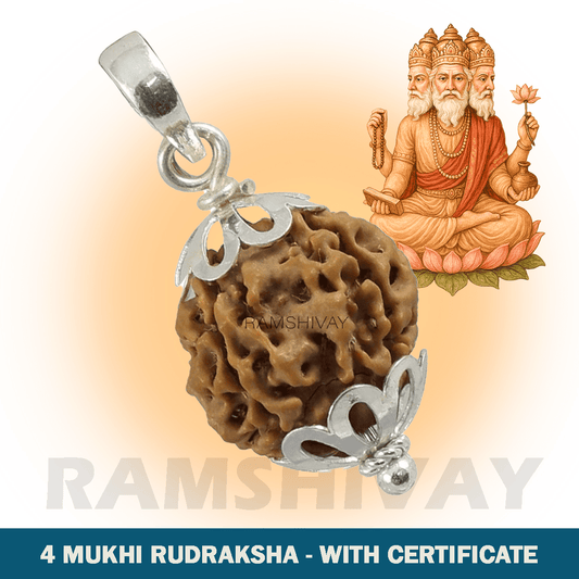 Original 4 Mukhi Rudraksha with Lab Certificate for Wisdom & Memory – Ramshivay - Ramshivay