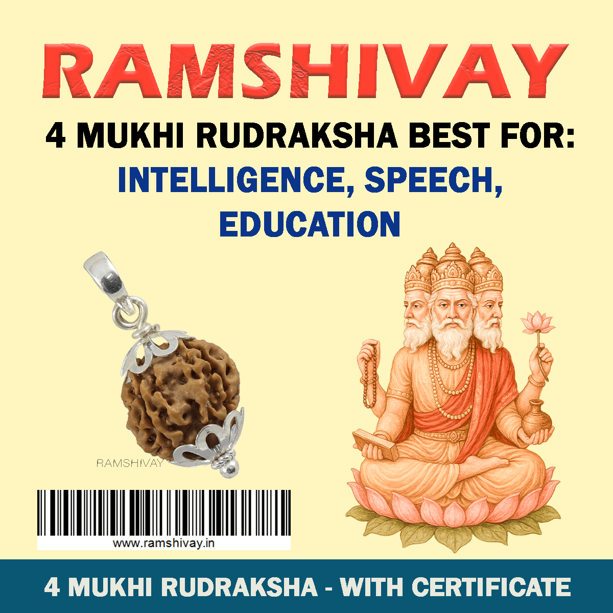 Original 4 Mukhi Rudraksha with Lab Certificate for Wisdom & Memory – Ramshivay - Ramshivay