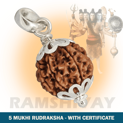 Original 5 Mukhi Rudraksha with Lab Certificate for Peace & Health – Ramshivay