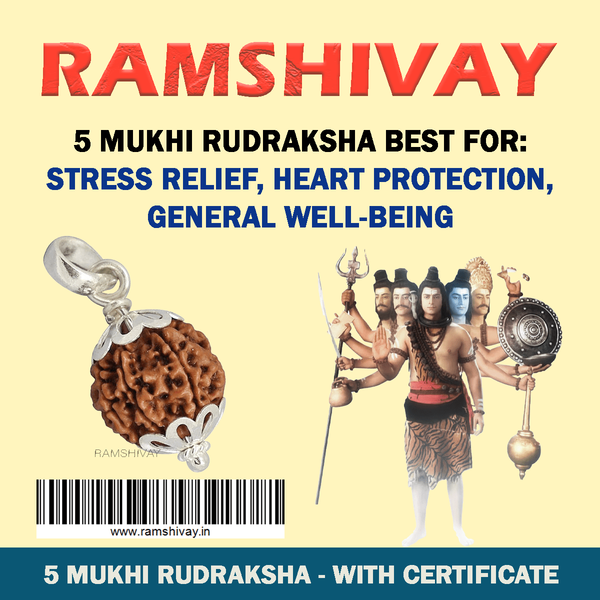 Original 5 Mukhi Rudraksha with Lab Certificate for Peace & Health – Ramshivay - Ramshivay