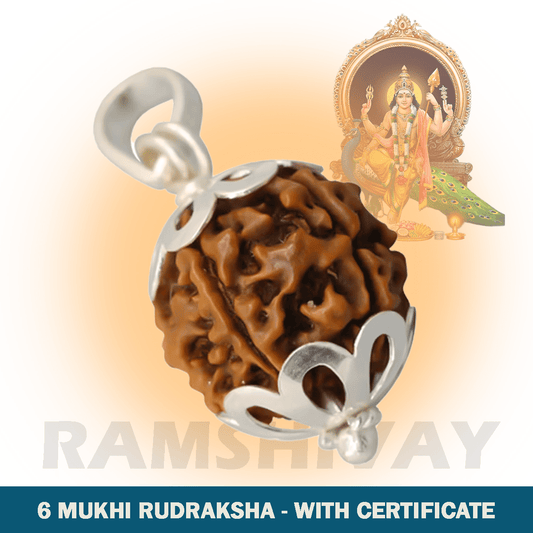 Original 6 Mukhi Rudraksha with Lab Certificate for Confidence & Willpower – Ramshivay - Ramshivay