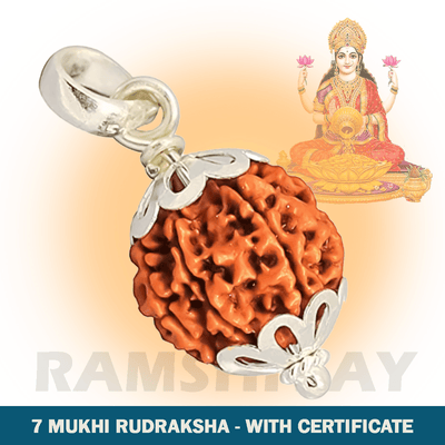 Original 7 Mukhi Rudraksha with Lab Certificate for Wealth & Prosperity – Ramshivay