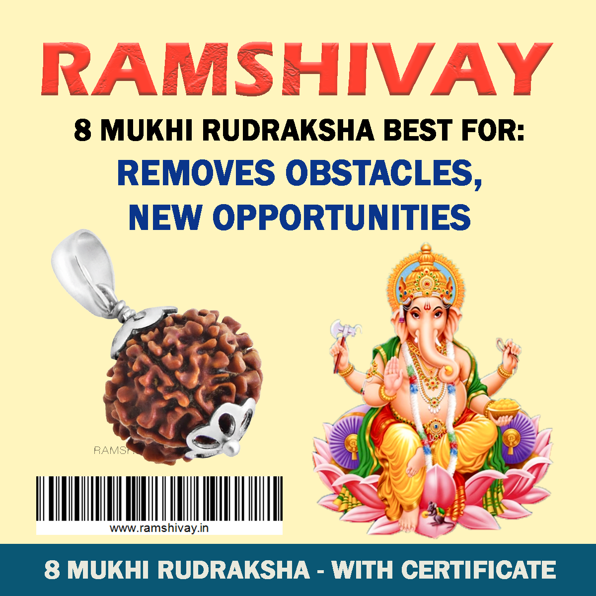 Original 8 Mukhi Rudraksha with Lab Certificate for Stability & Success – Ramshivay - Ramshivay