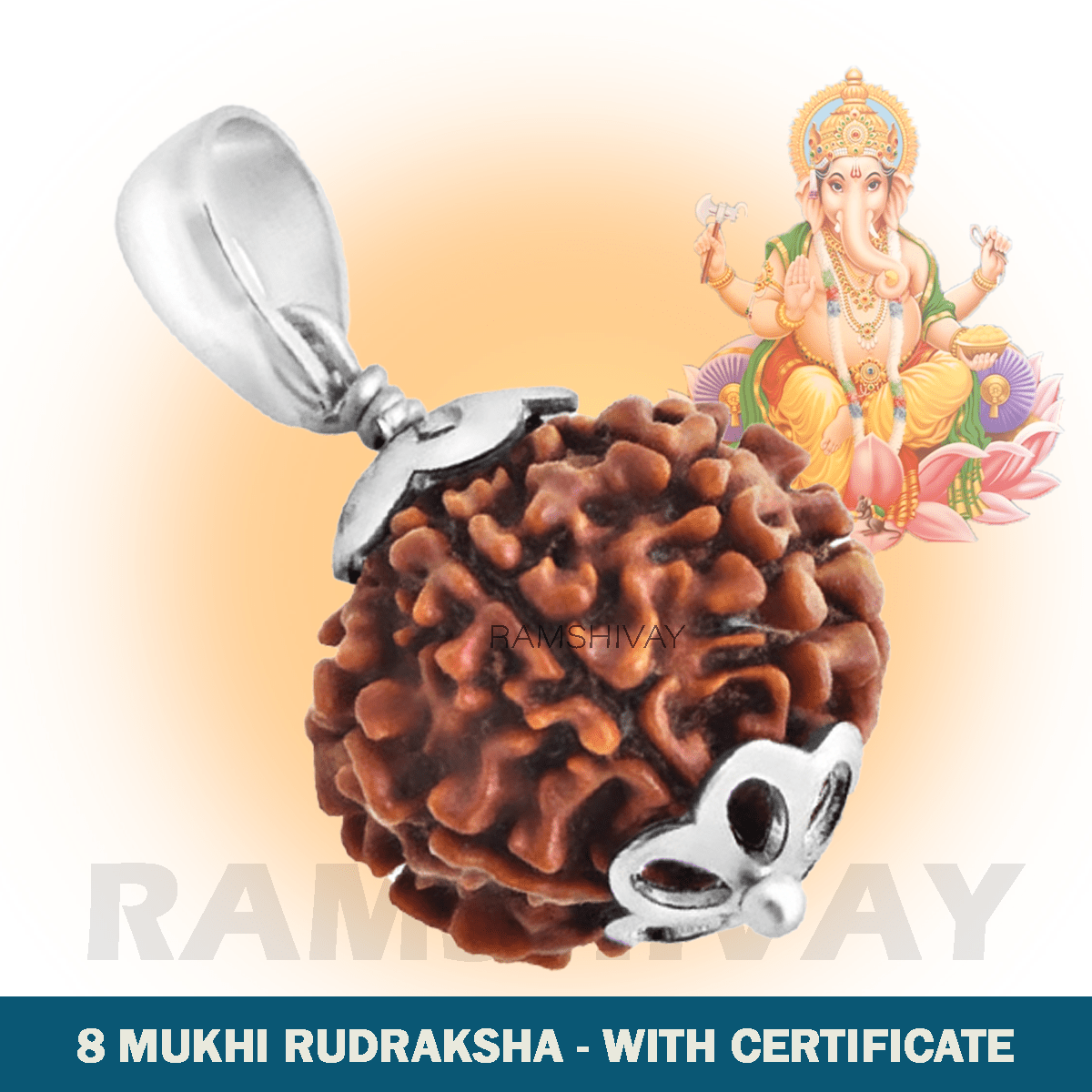 Original 8 Mukhi Rudraksha with Lab Certificate for Stability & Success – Ramshivay - Ramshivay