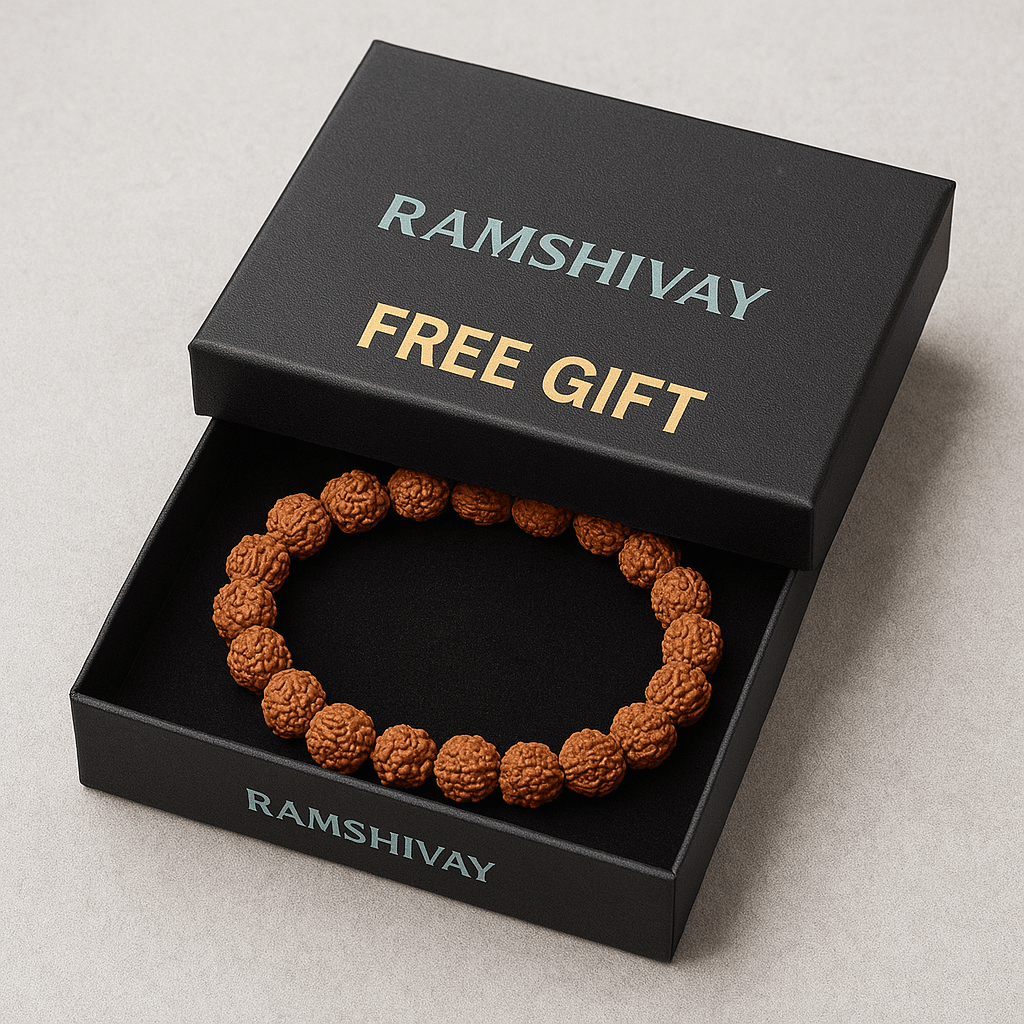 Original Ganesh Rudraksha with Lab Certificate for Success & Prosperity – Ramshivay - Ramshivay
