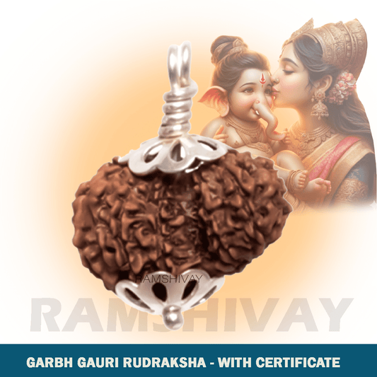 Original Garbh Gauri Rudraksha with Lab Certificate for Fertility & Safe Pregnancy – Ramshivay - Ramshivay