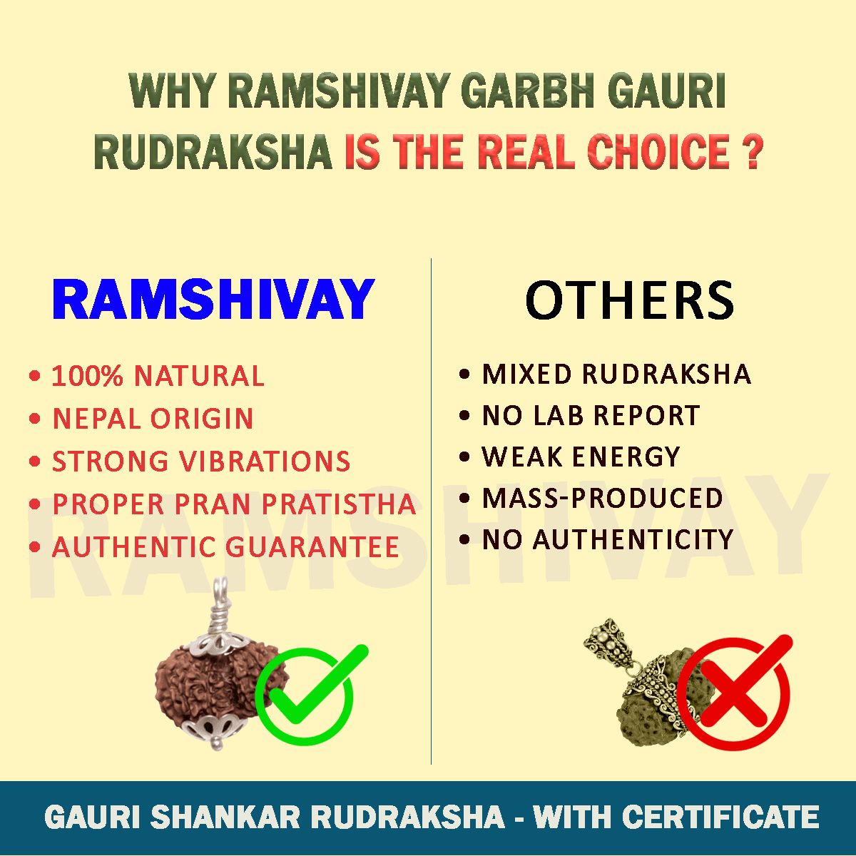Original Garbh Gauri Rudraksha with Lab Certificate for Fertility & Safe Pregnancy – Ramshivay - Ramshivay