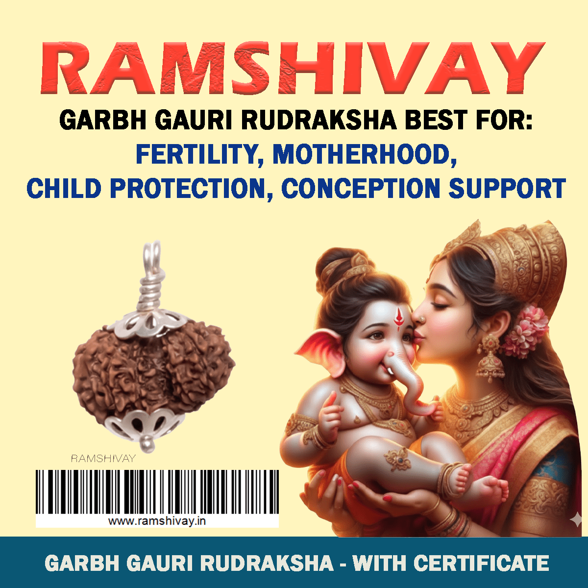 Original Garbh Gauri Rudraksha with Lab Certificate for Fertility & Safe Pregnancy – Ramshivay - Ramshivay