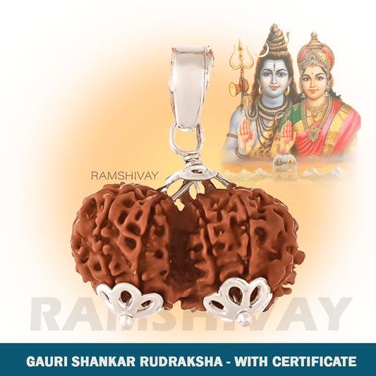 Original Gauri Shankar Rudraksha with Lab Certificate for Harmonious Marriage – Ramshivay - Ramshivay
