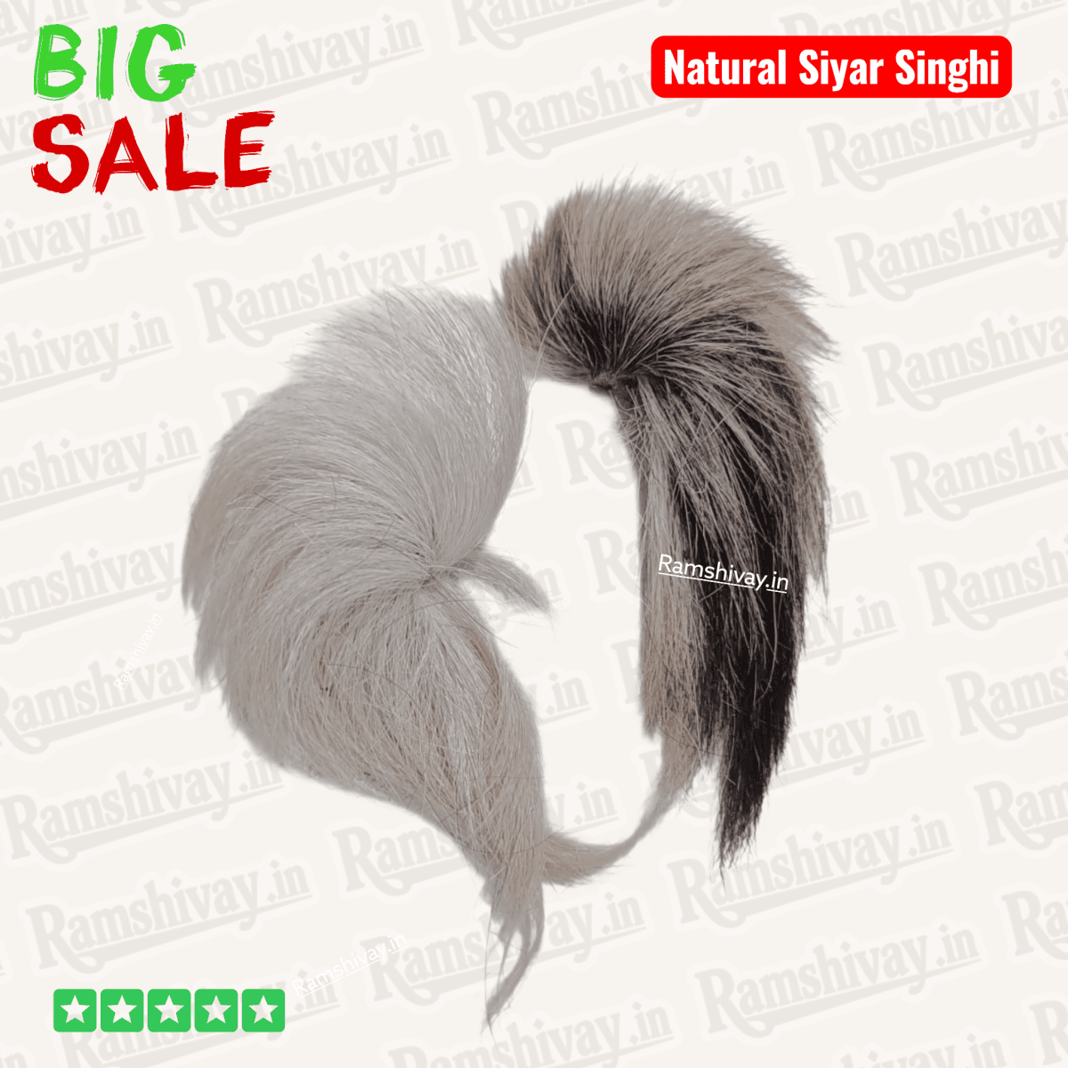 Original Gidar Singhi – Natural Siyar Singhi Joda with Divine Pair Energy | Protection & Success Charm – Ramshivay - Ramshivay