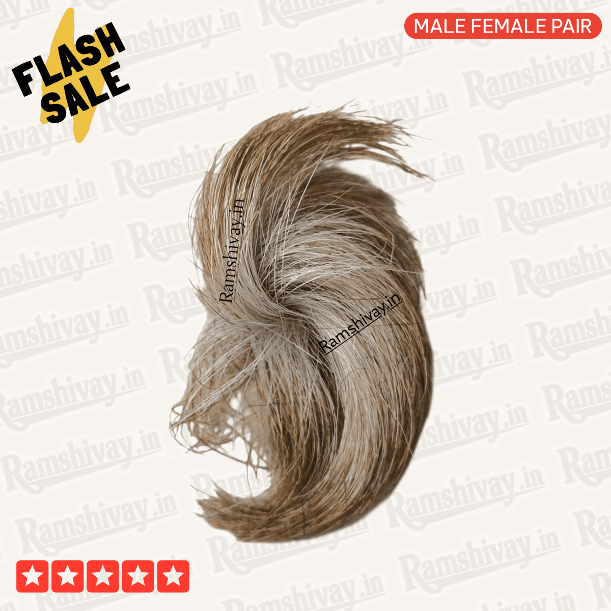 Original Gidar Singhi – Natural Siyar Singhi Joda with Divine Pair Energy | Protection & Success Charm – Ramshivay - Ramshivay