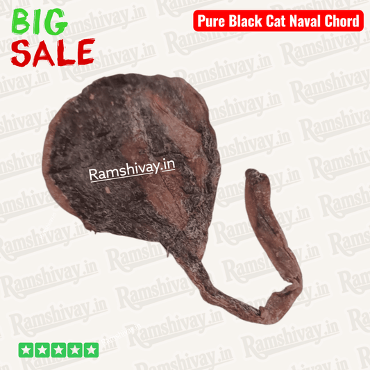 Original Kaali Billi Ki Jer (Billi ki Naal) – Black Cat Naval Chord with Certified Authenticity | Wealth, Protection & Attraction – Ramshivay - Ramshivay