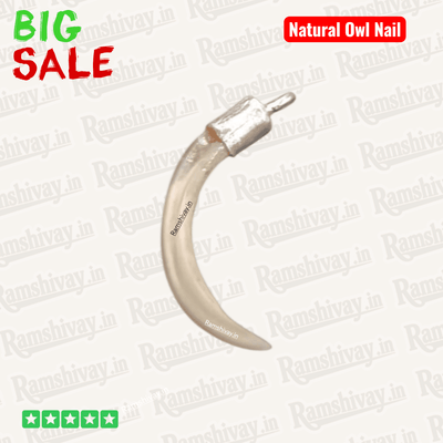 Original Owl Nail Pendant Ullu Ka Nakhun in Pure Silver for Wealth – Ramshivay
