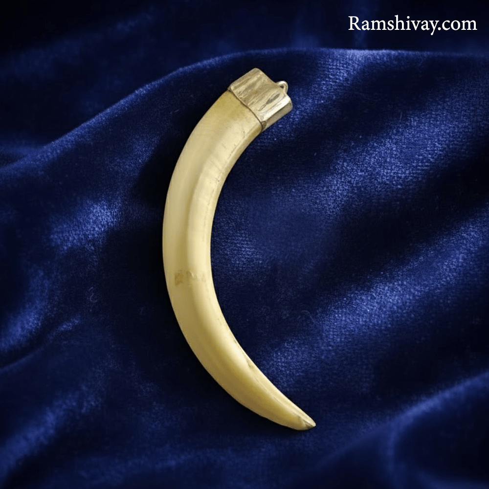 Original Shukar Dant Energized - Lab Certified Silver Cap Pendant – Ramshivay - Ramshivay