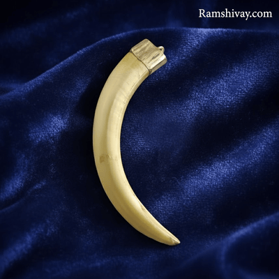 Original Shukar Dant Energized - Lab Certified Silver Cap Pendant – Ramshivay