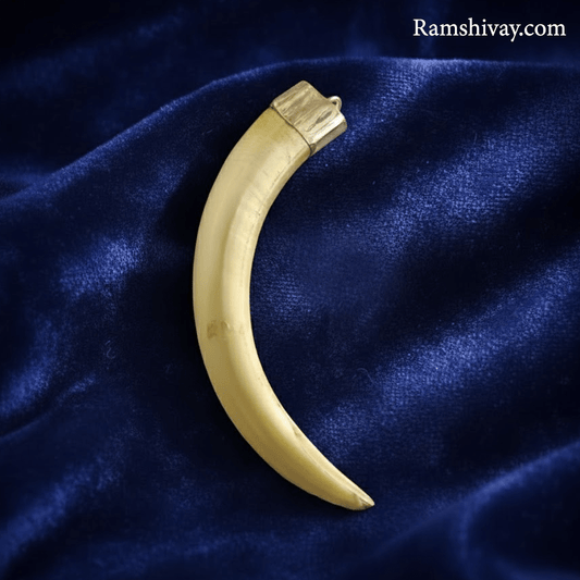 Original Shukar Dant Energized - Lab Certified Silver Cap Pendant – Ramshivay - Ramshivay