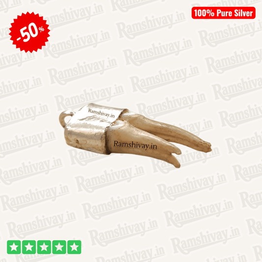 Original Shukar Dant (Wild Boar Teeth) Silver Locket for Baby Under 9 Years with Energised Option | Nazar Protection & Positivity – Ramshivay - Ramshivay