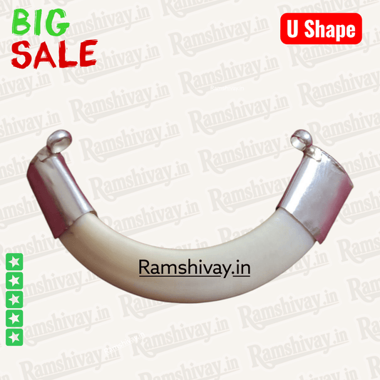 Original U‑Shape Shukar Dant (Wild Boar Teeth) Silver Locket with Double‑Side Silver Caps | Nazar Protection & Courage – Ramshivay - Ramshivay