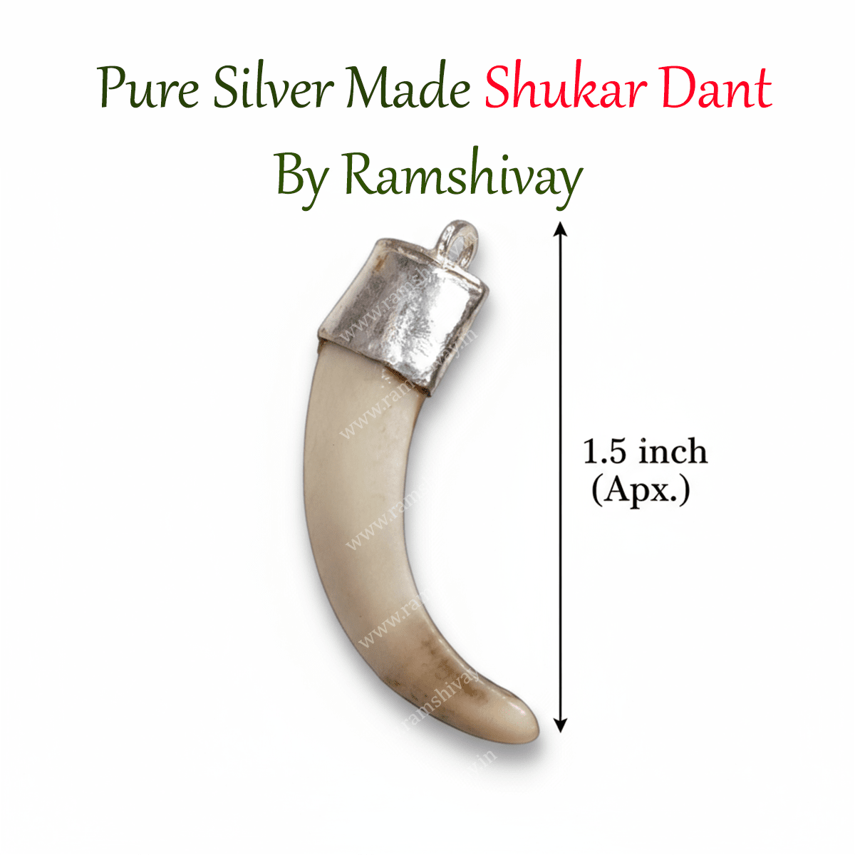 Shukar Dant in Black Rudraksha Mala with C - Shape Wild Boar Teeth | Pure Silver Pendant for Spiritual Protection & Energy – Ramshivay - Ramshivay