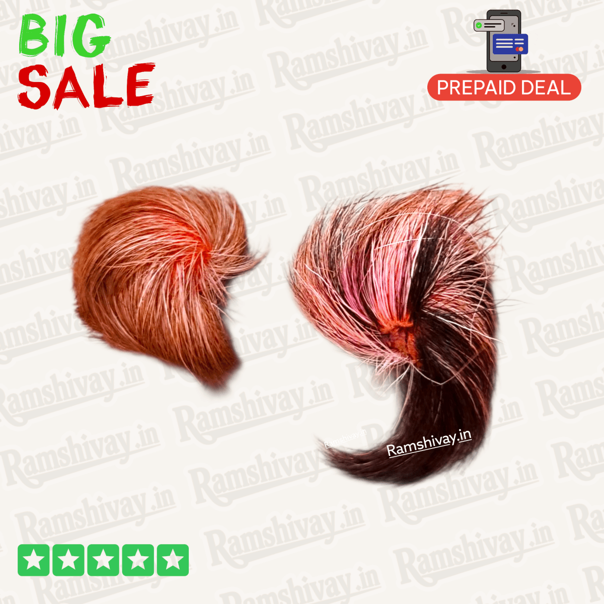 Siyar Singhi Pair – Natural and Certified Gidar Singhi Joda with Male‑Female Energy | Protection & Fortune Symbol – Ramshivay - Ramshivay