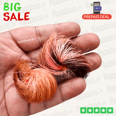 Siyar Singhi Pair Natural Certified Gidar Singhi Joda for Fortune – Ramshivay